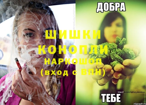 spice Вязьма