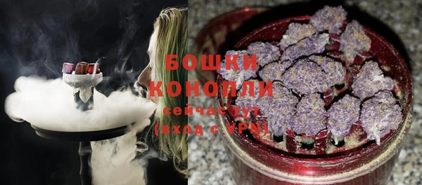 spice Вязьма